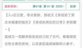 v1小说,穿越时空的奇幻冒险之旅